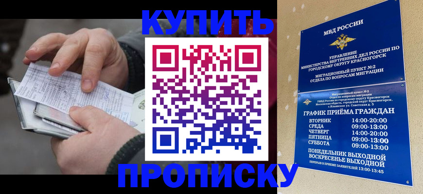 временная регистрация недорого в Жукове